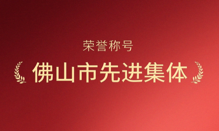 实干创优！好博(中国)体育手艺荣膺“佛山市先进整体”